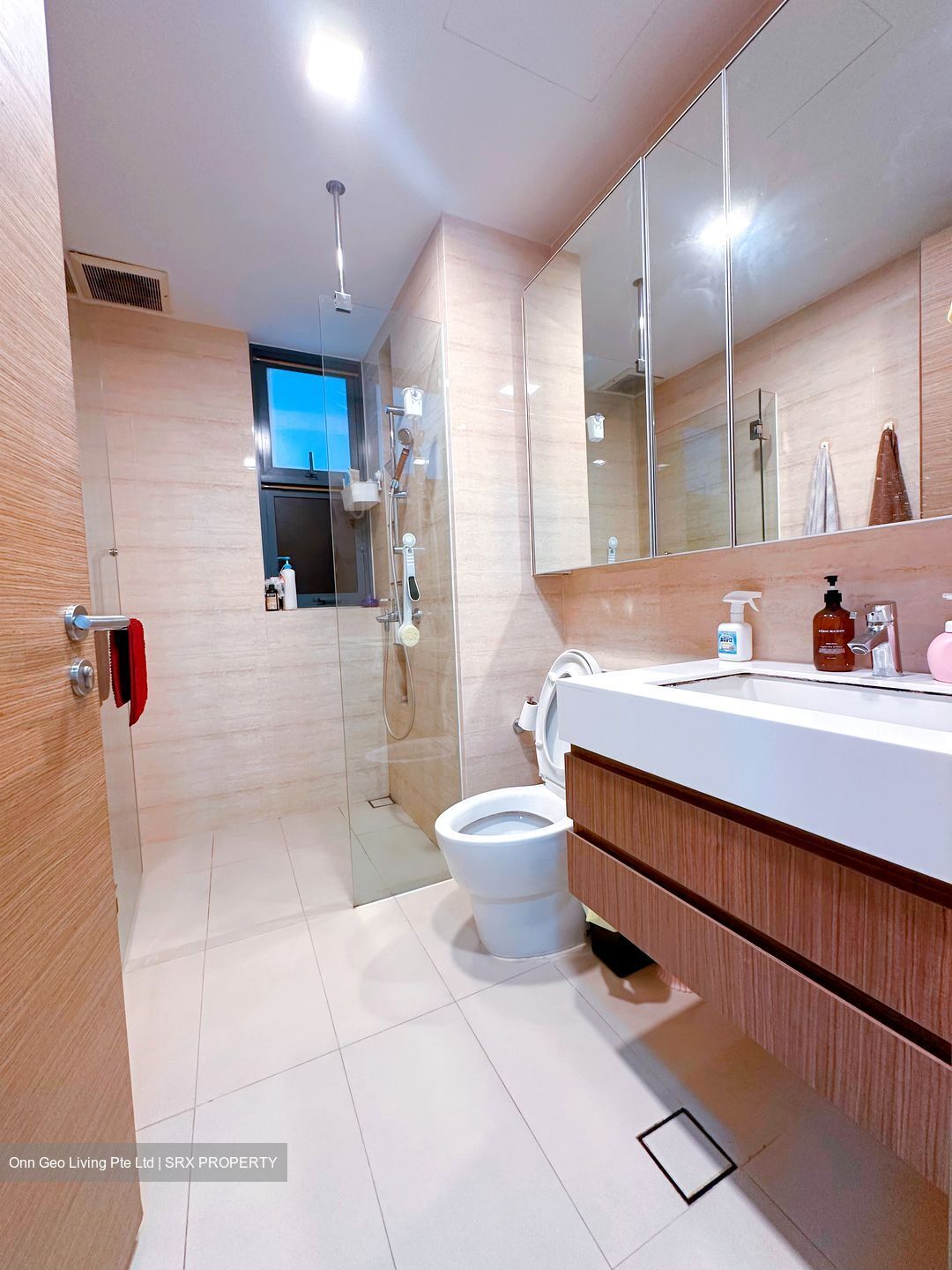 The Palette (D18), Condominium #503558971